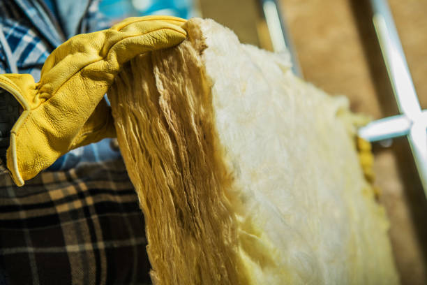 Professional Insulation Contractor in Welby, CO