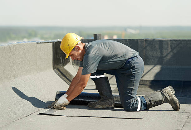 Best Insulation Maintenance and Repair in Welby, CO
