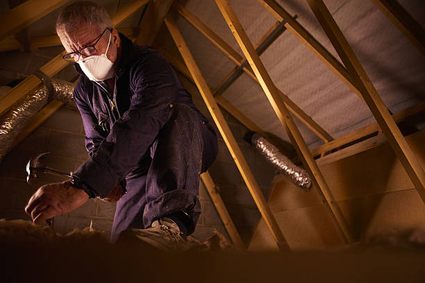Best DIY Insulation Kits and Guidance in Welby, CO