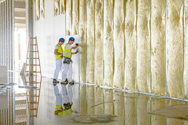Best Spray Foam Insulation in Welby, CO